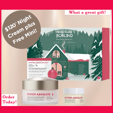 A Great Gift - Absolute Night Cream & Mini Day Cream A Great Gift - Absolute Night Cream & Mini Day Cream